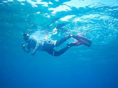 Snorkeling Havelock Tour